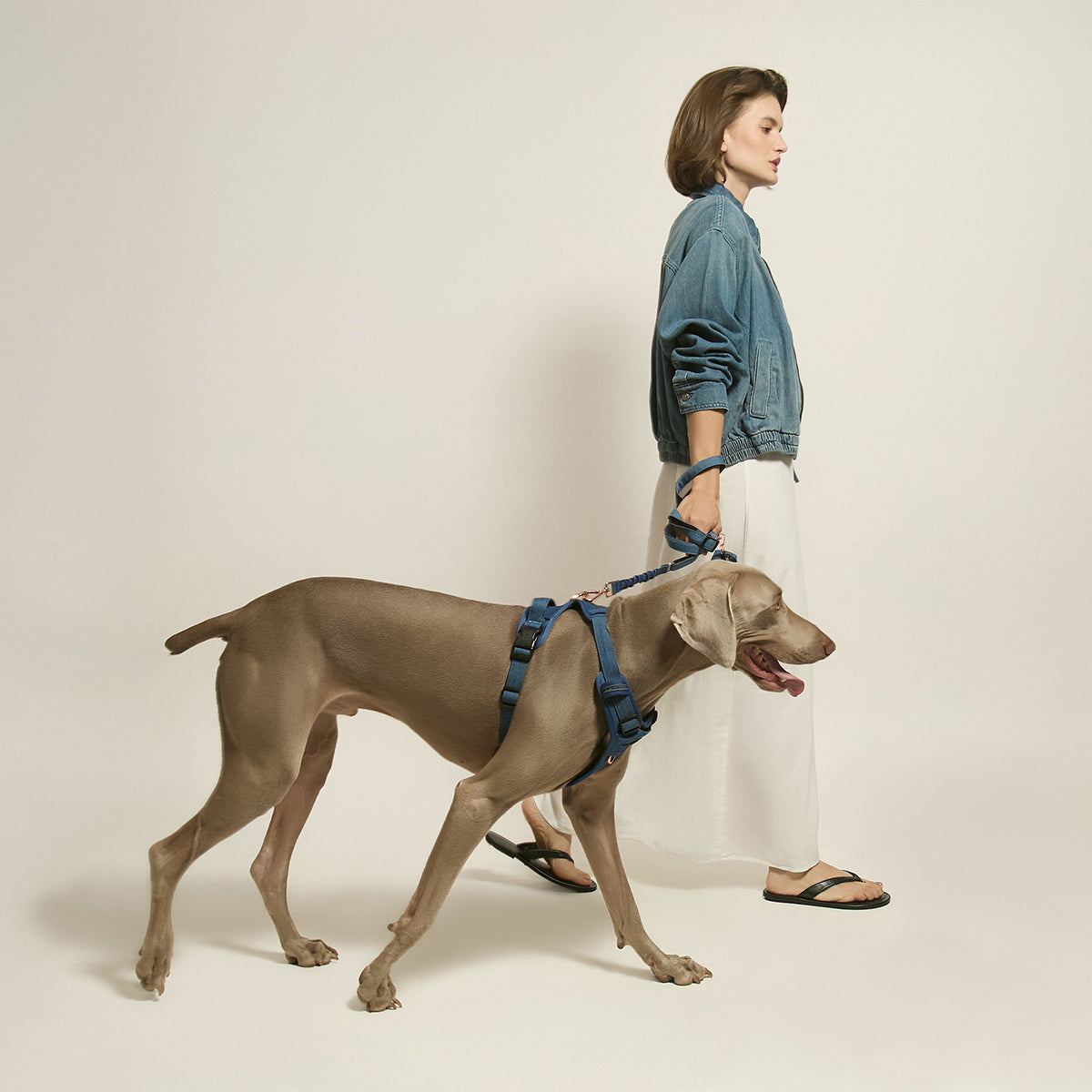 Adjustable Dog Harness product image 5