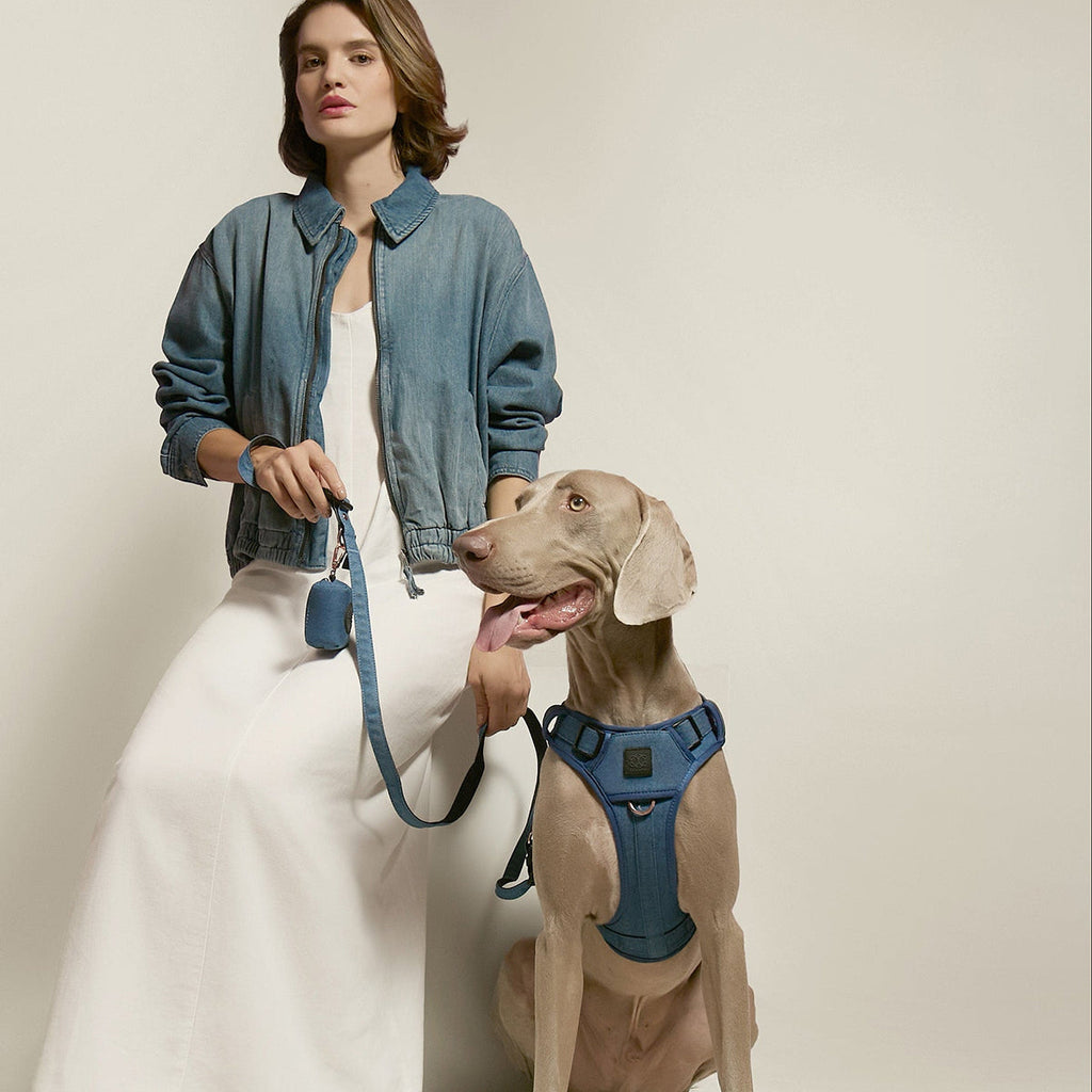Adjustable Dog Harness product image 6