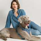 Adjustable Dog Harness product image 7