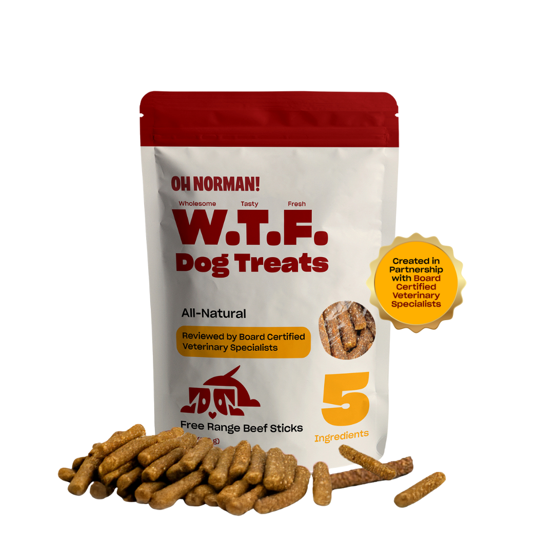 Beef Jerky Dog Treat product image 1