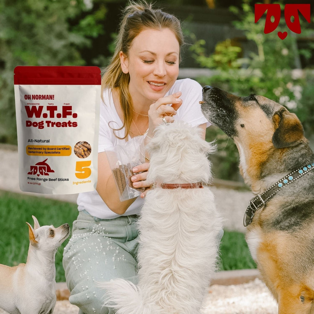 Beef Jerky Dog Treat product image 2