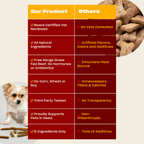 Beef Jerky Dog Treat product image 4