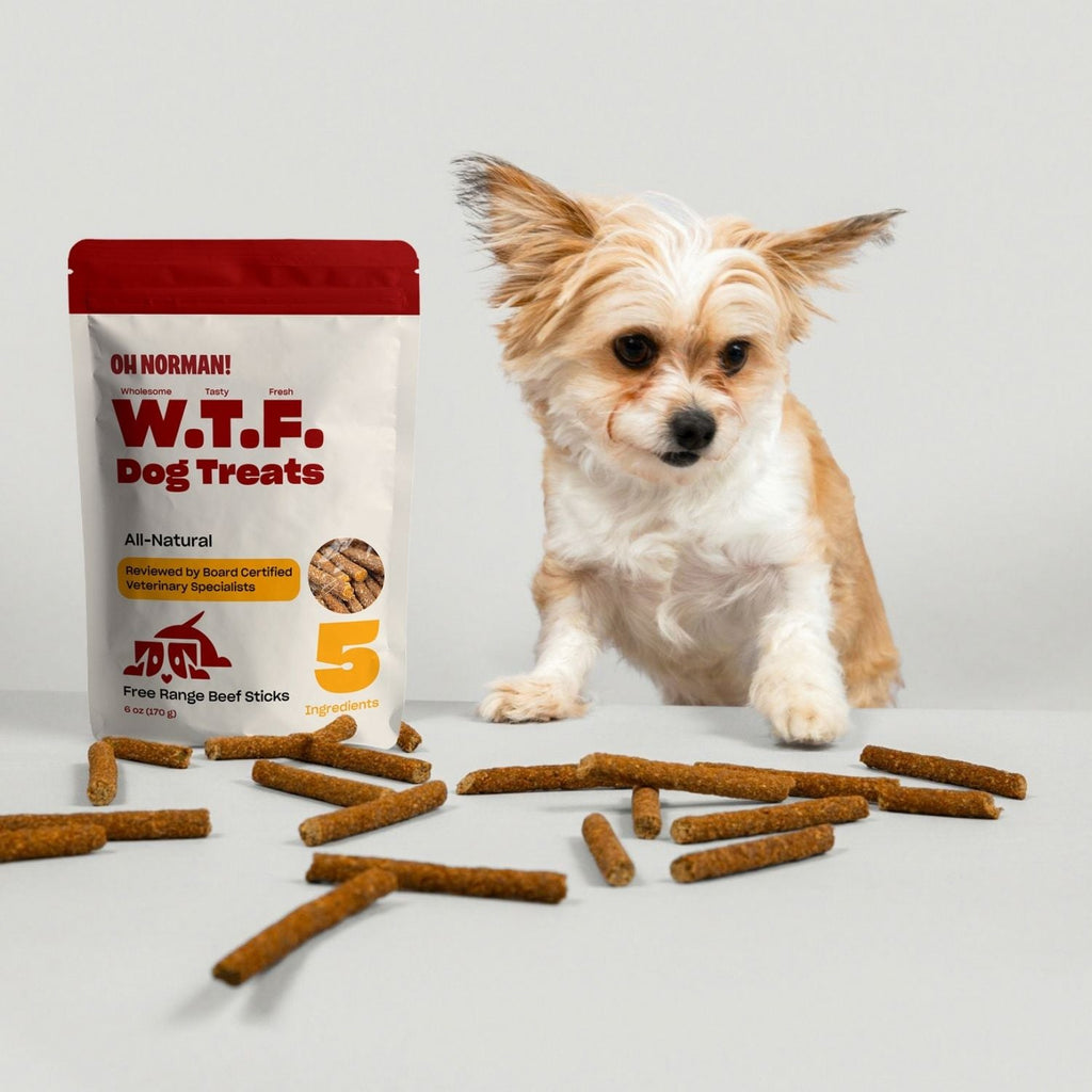Beef Jerky Dog Treat product image 6