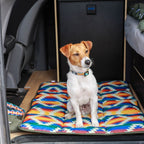 Dog Travel Mat product image 8