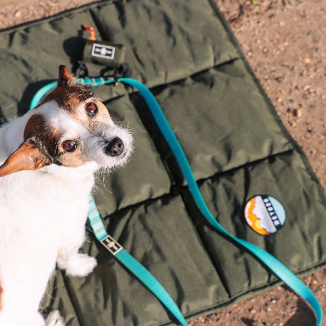 Dog Travel Mat product image 10