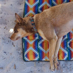 Dog Travel Mat product image 14