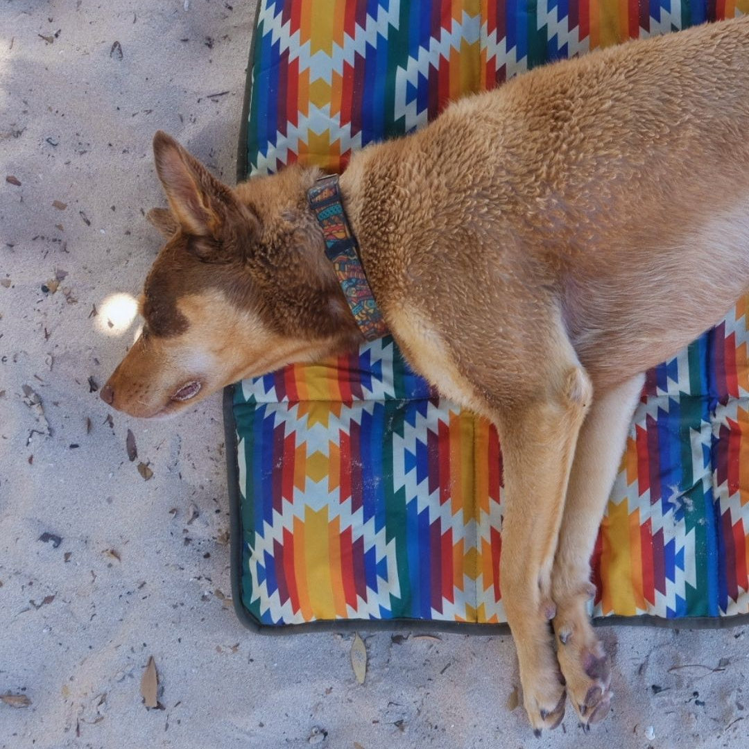 Dog Travel Mat product image 14