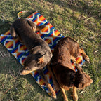 Dog Travel Mat product image 17