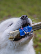 Dog Dental Chews product image 3
