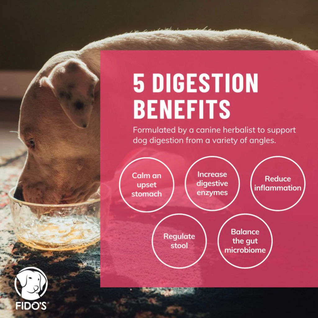 Dog Bone Broth Powder product image 3