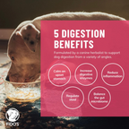Dog Bone Broth Powder product image 3