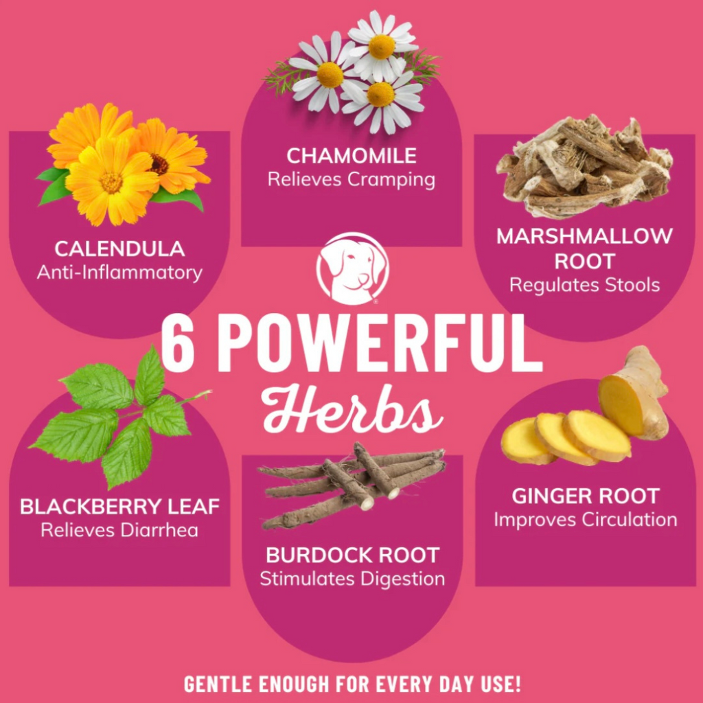 Dog Bone Broth Powder product image 4