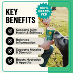 Dog Joint Supplement product image 2