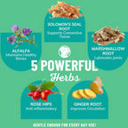 Dog Joint Supplement product image 4