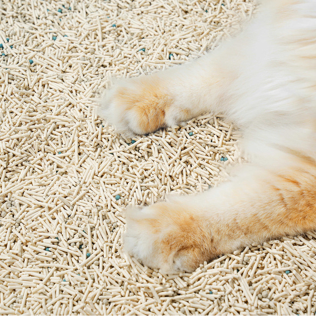 Mixed Tofu Cat Litter product image 5
