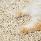 Mixed Tofu Cat Litter product image 5