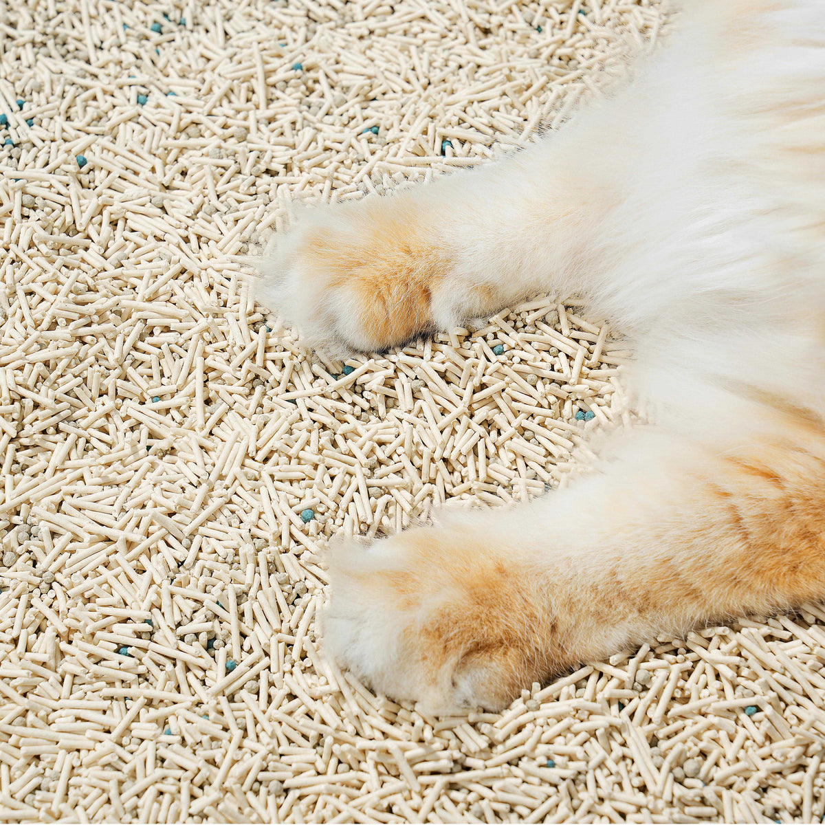 Mixed Tofu Cat Litter product image 5