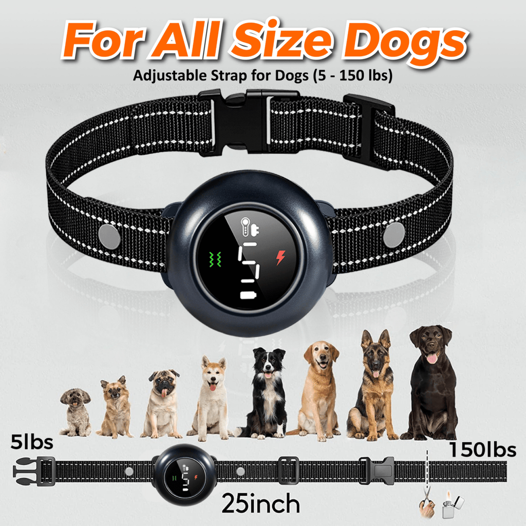 Dog Training Collar product image 7
