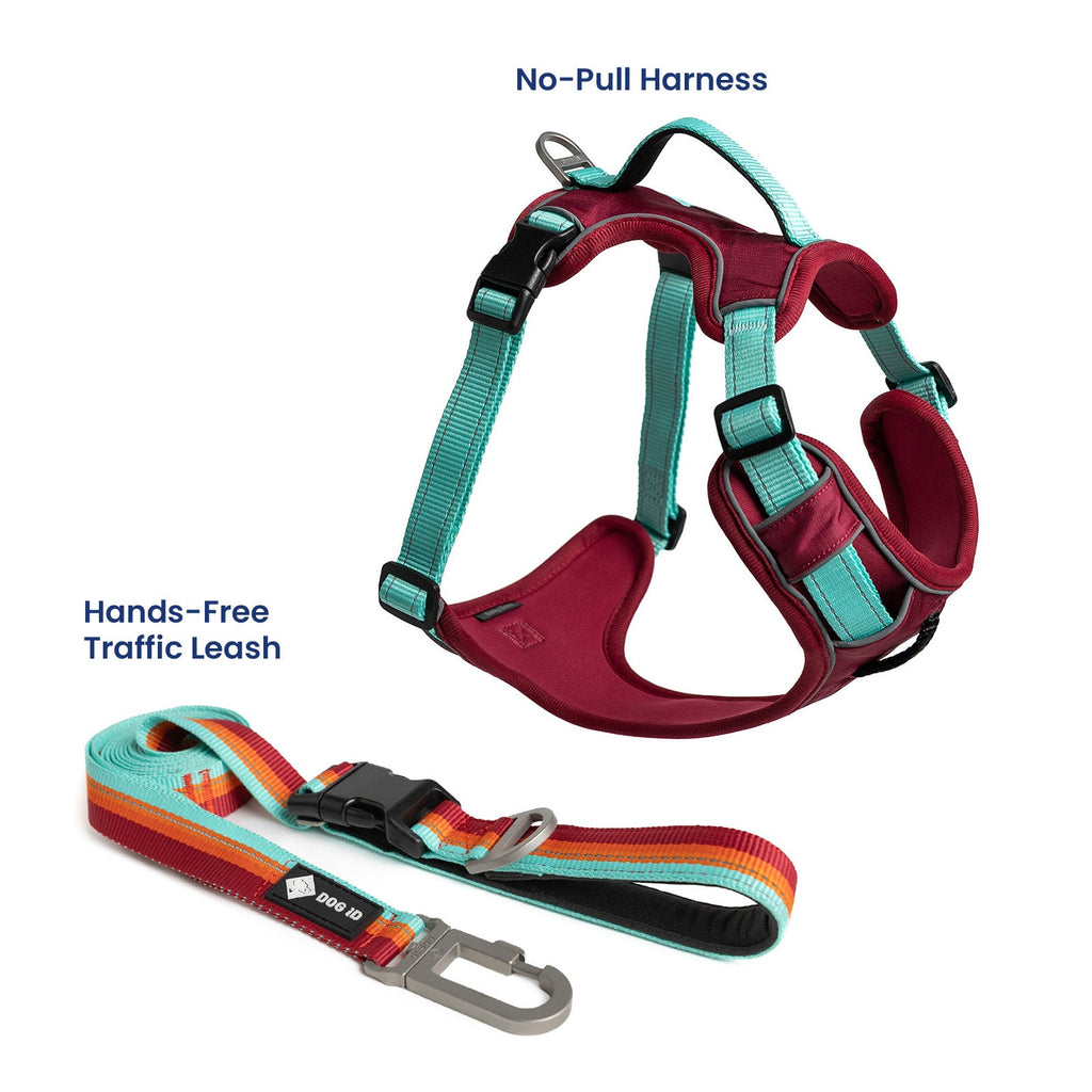 Dog Harness and Leash Set product image 2