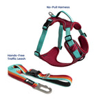 Dog Harness and Leash Set product image 2