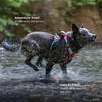 Dog Harness and Leash Set product image 7
