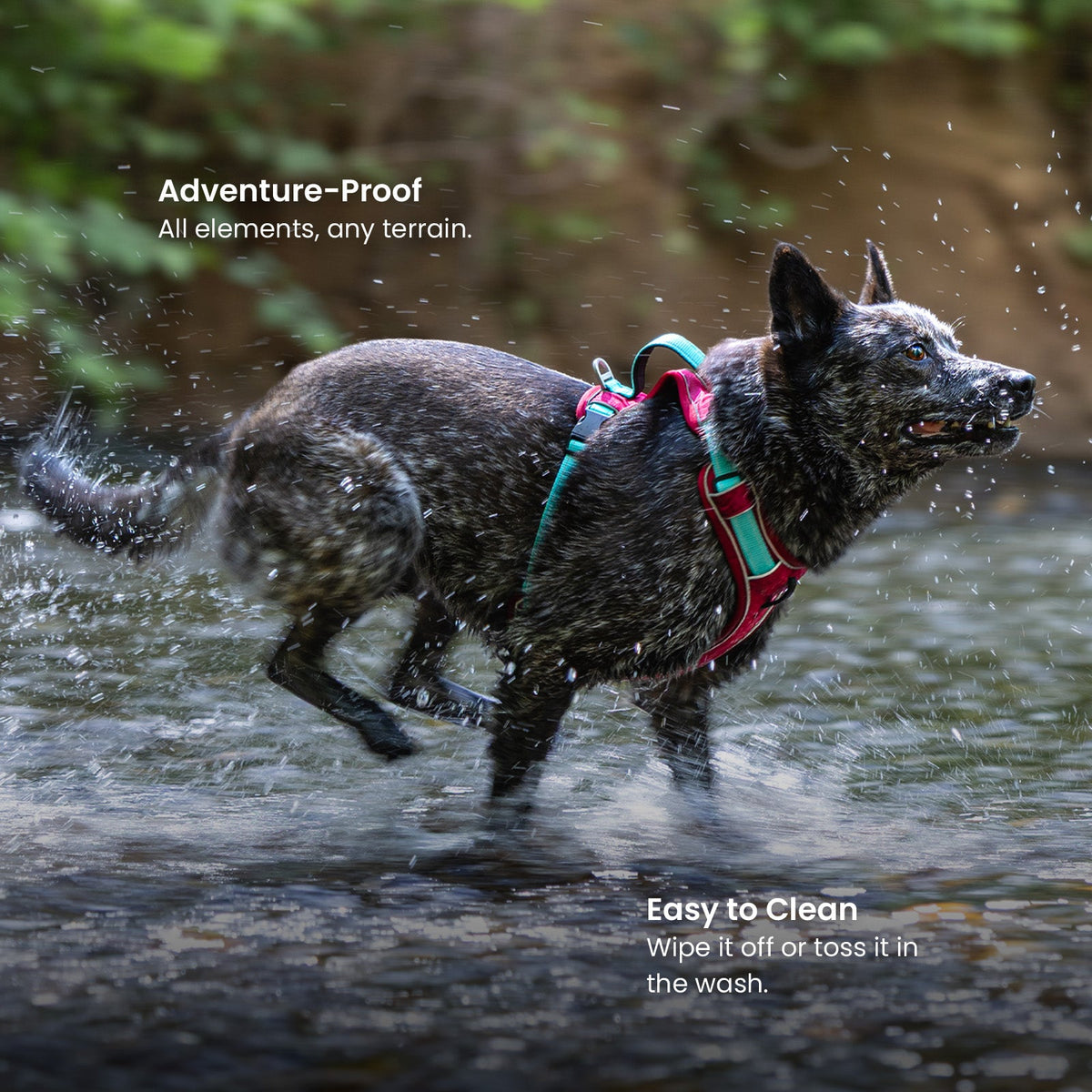 Dog Harness and Leash Set product image 7