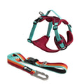 Dog Harness and Leash Set product image 13
