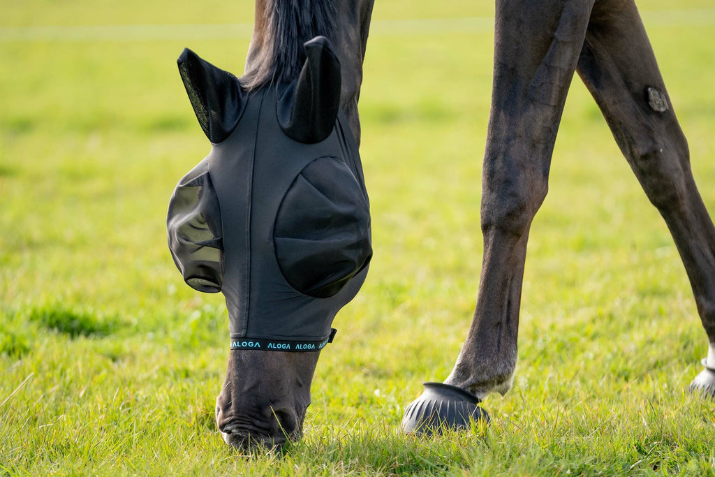 Horse Fly Mask product image 2