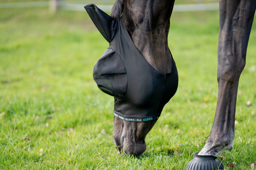 Horse Fly Mask product image 3