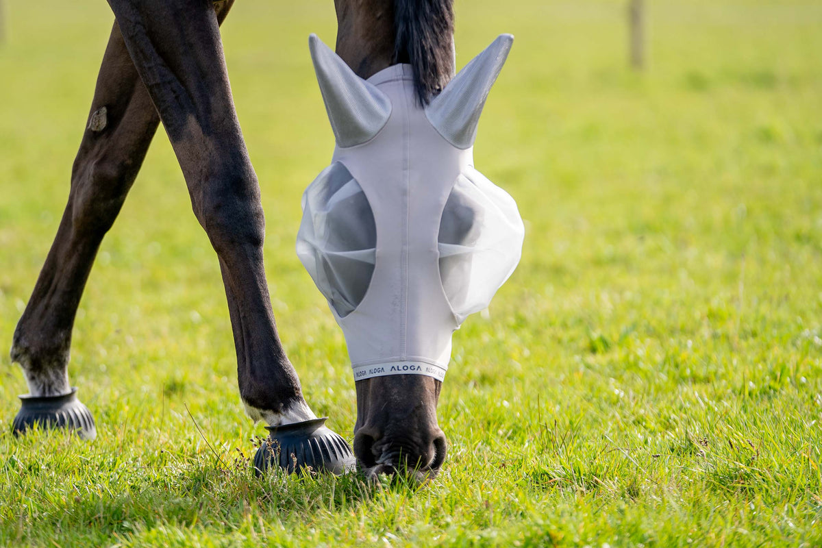 Horse Fly Mask product image 6