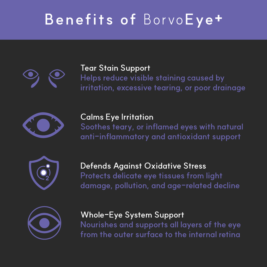 Dog Eye Supplement product image 2