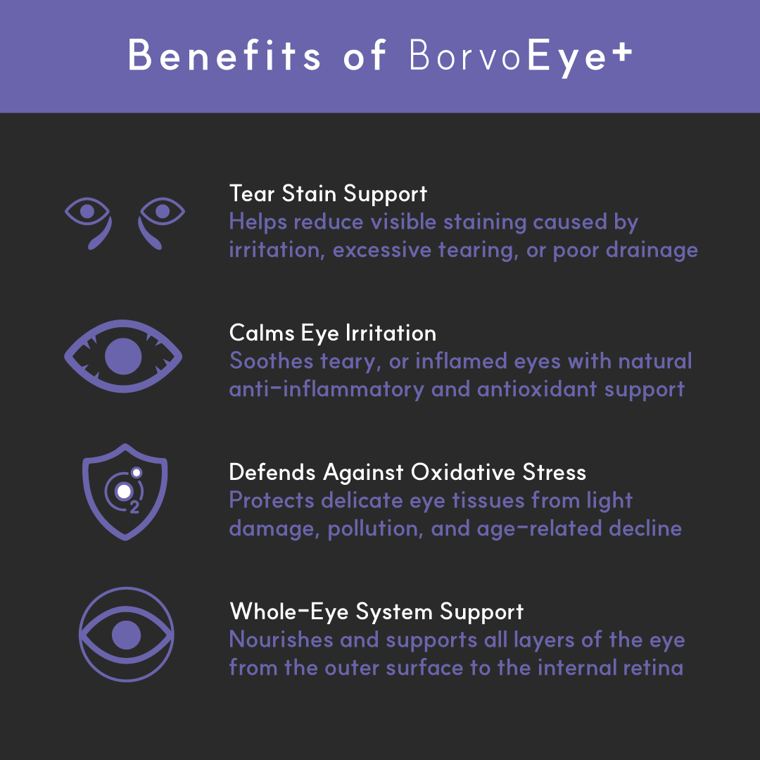 Dog Eye Supplement product image 2