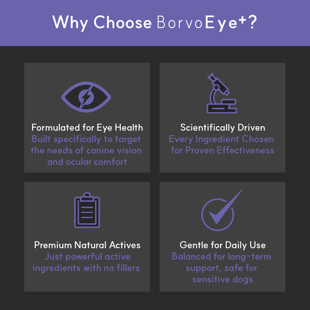 Dog Eye Supplement product image 5