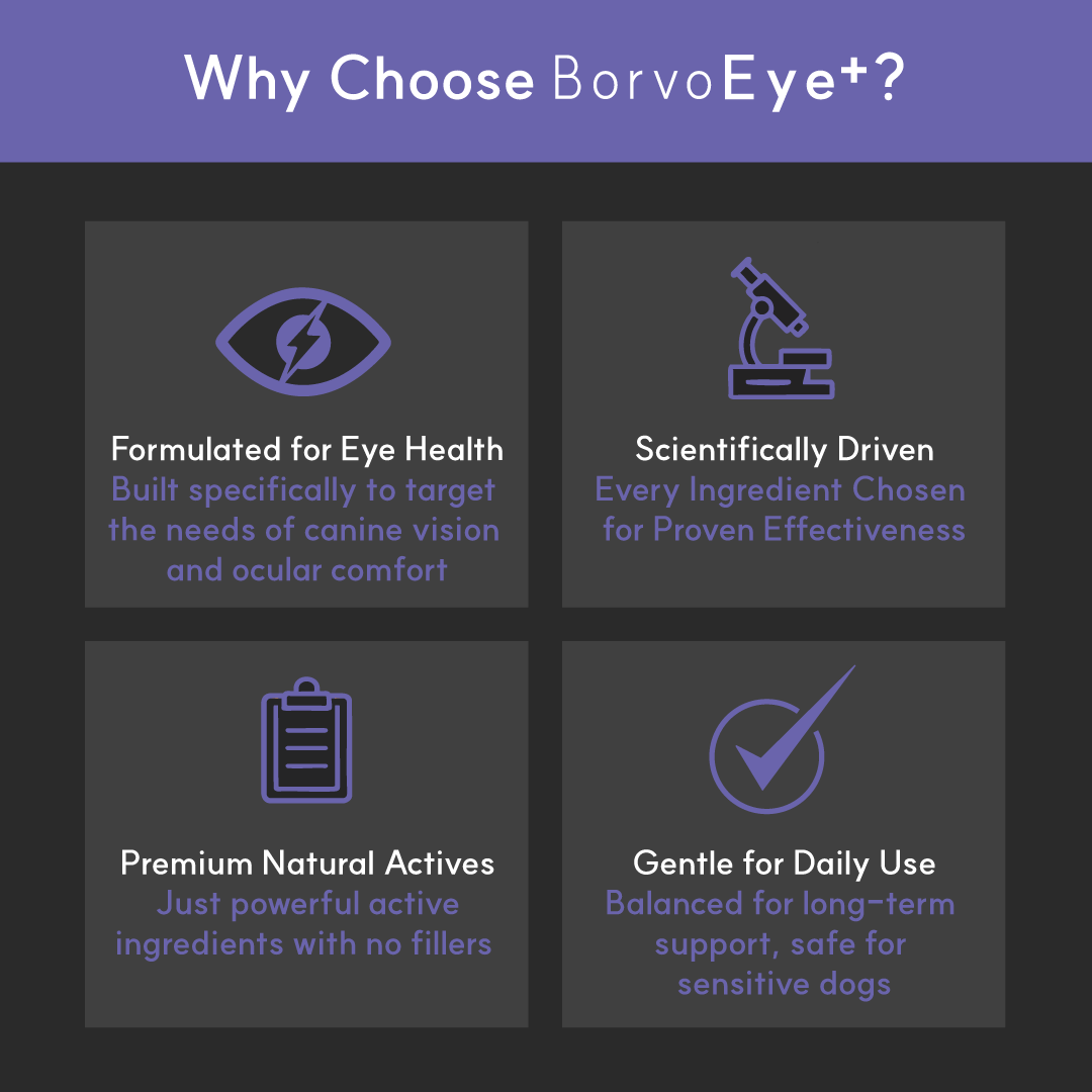 Dog Eye Supplement product image 5