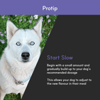 Dog Eye Supplement product image 6