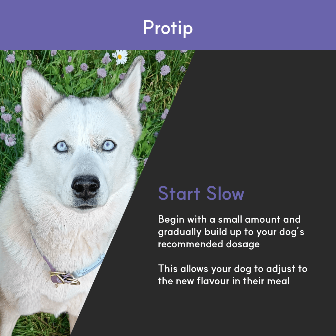 Dog Eye Supplement product image 6