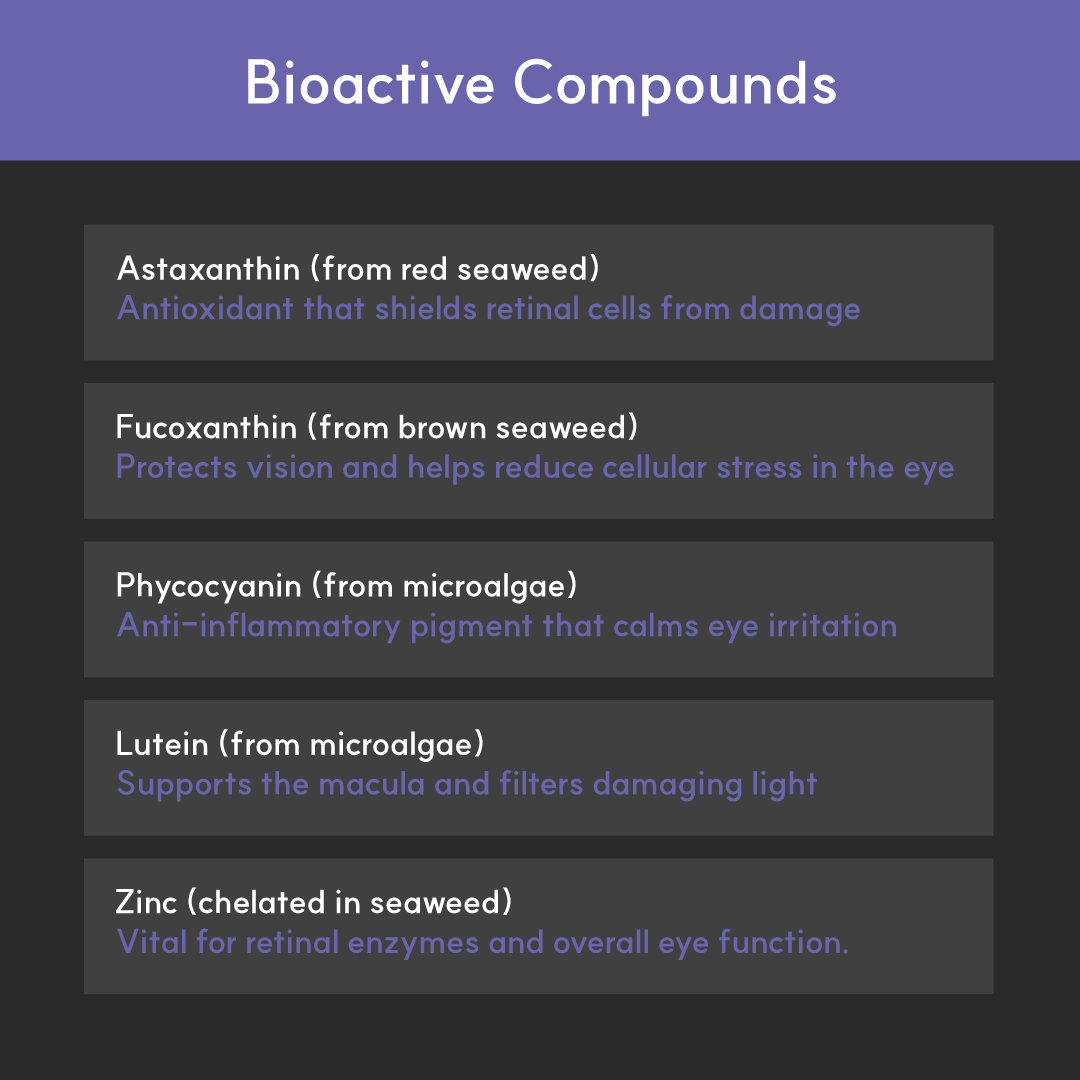 Dog Eye Supplement product image 7