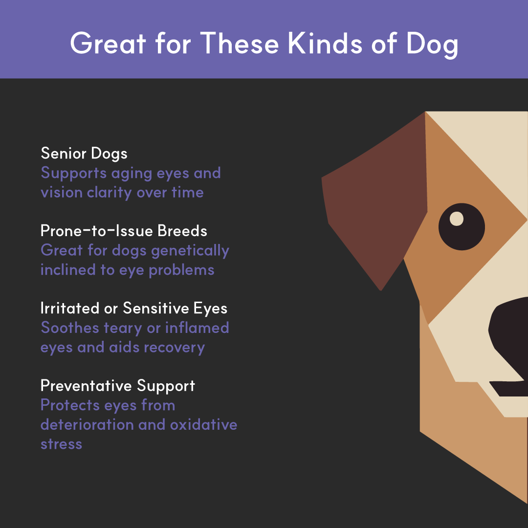 Dog Eye Supplement product image 8