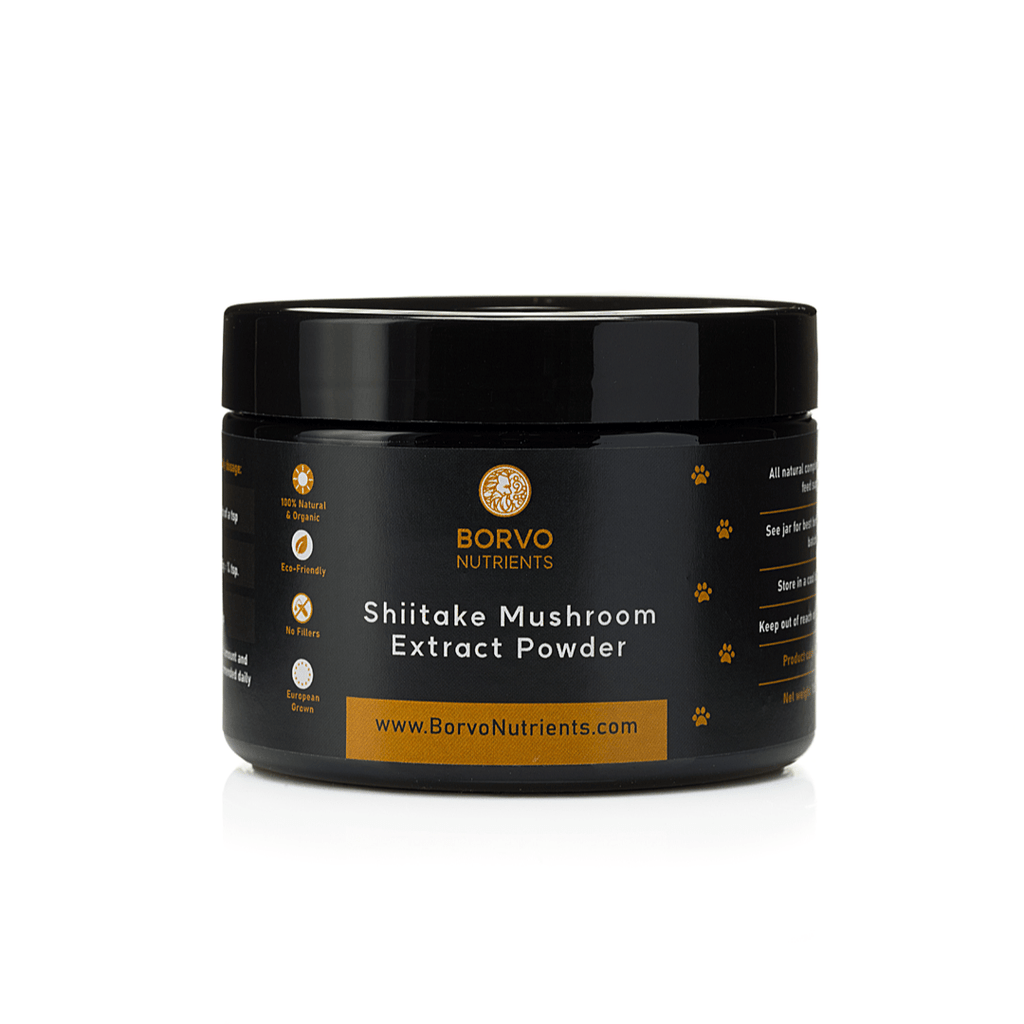 Shiitake Mushroom Extract product image 1