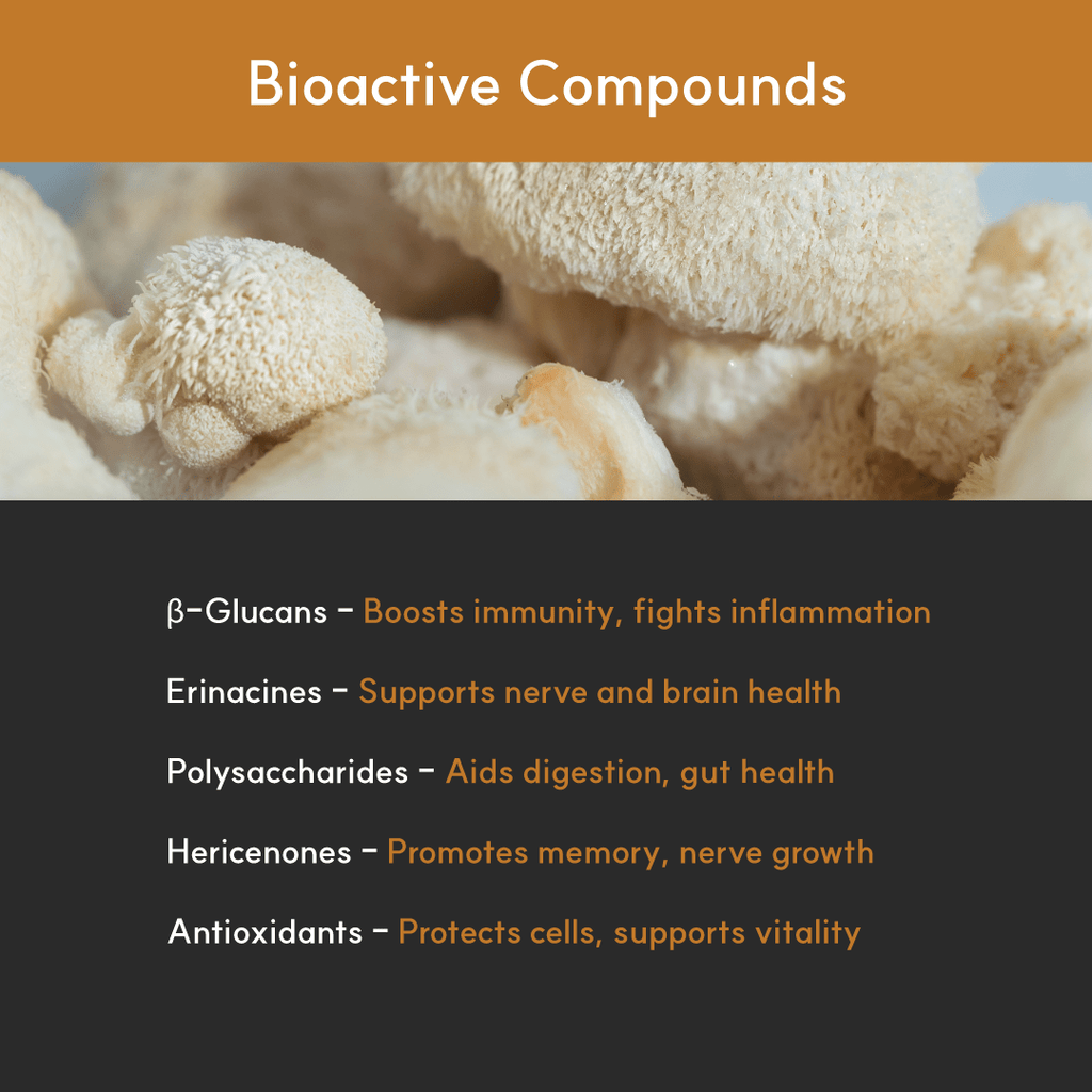 Mushroom Supplement product image 6