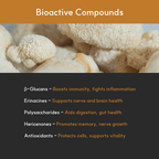Mushroom Supplement product image 6