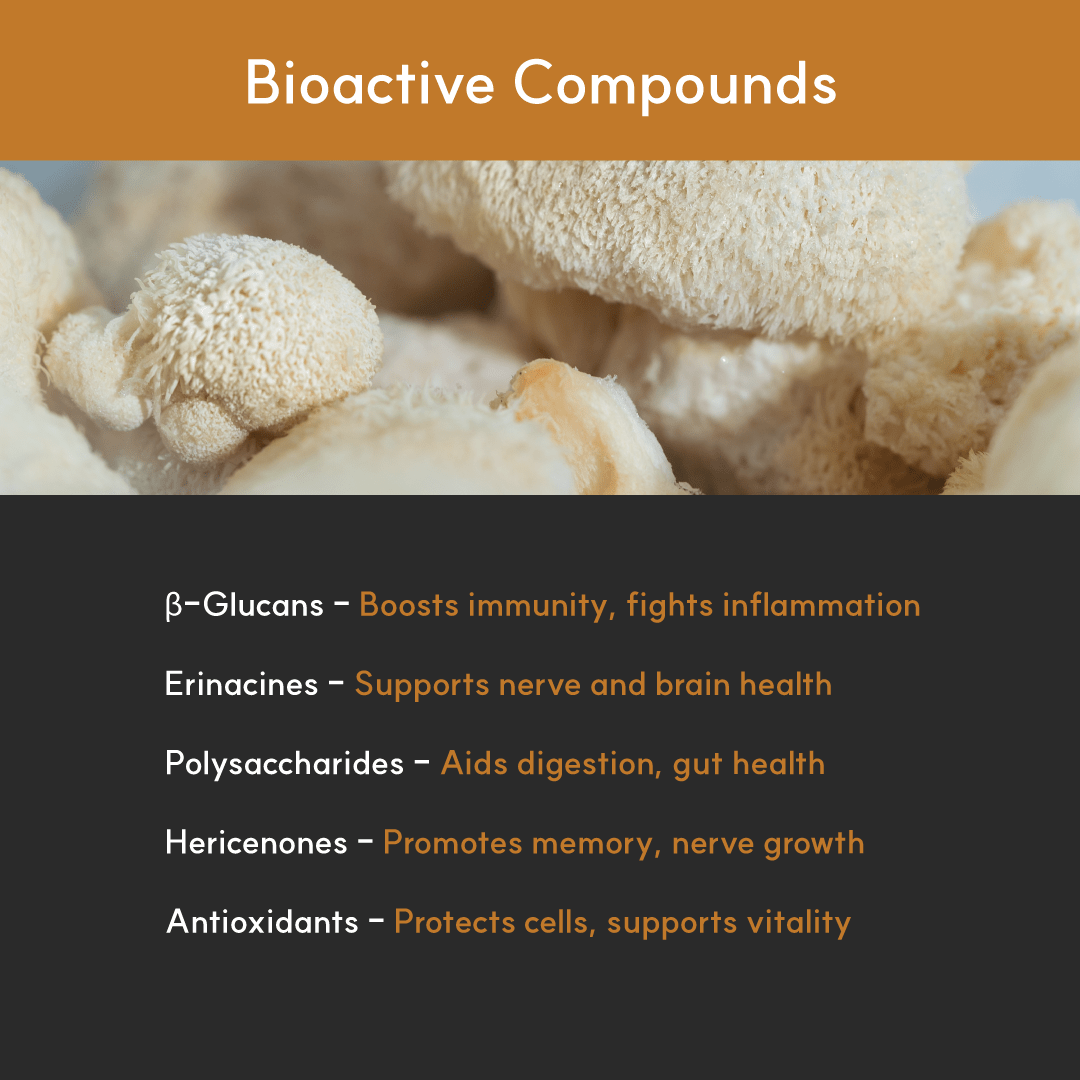 Mushroom Supplement product image 6