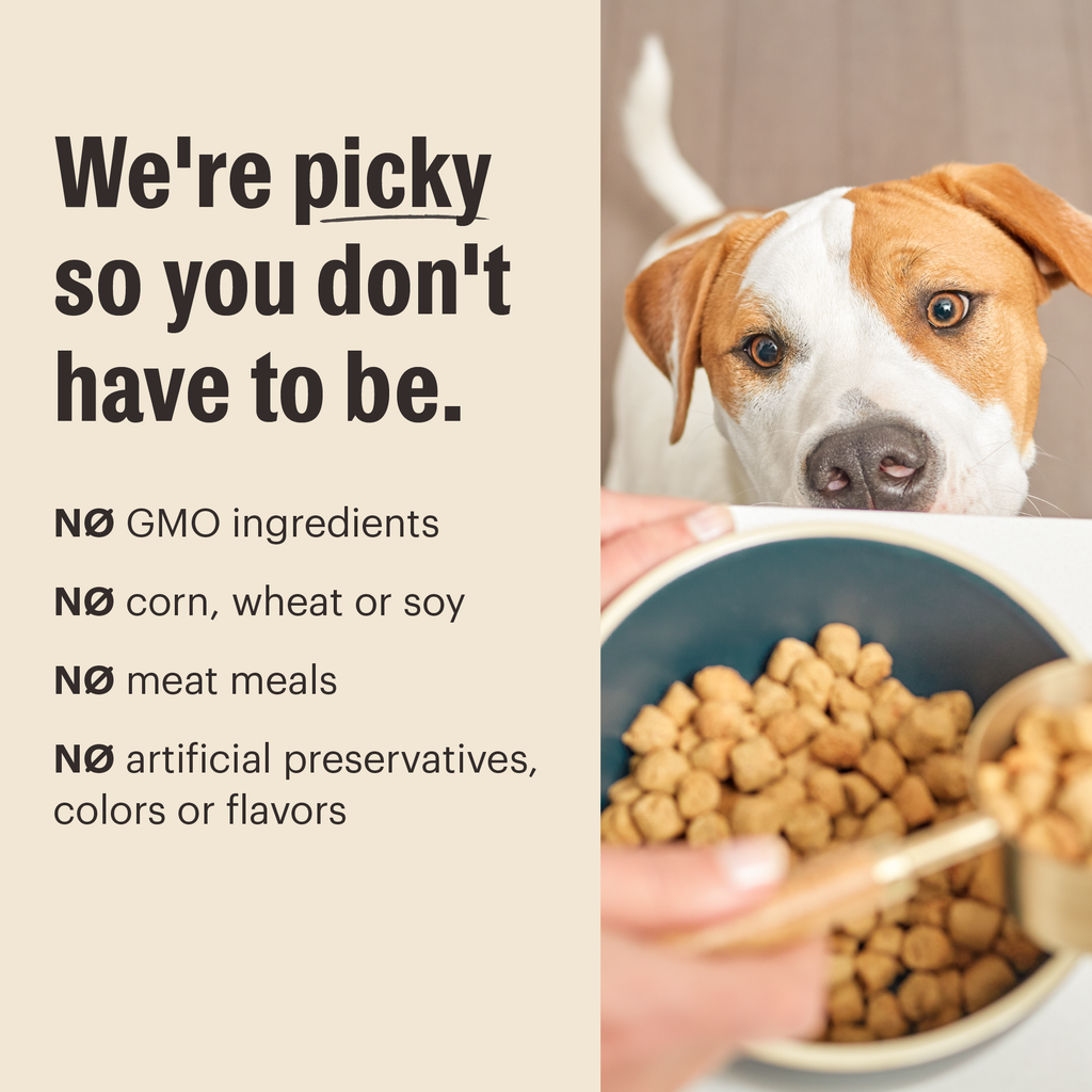 Dry Dog Food product image 5