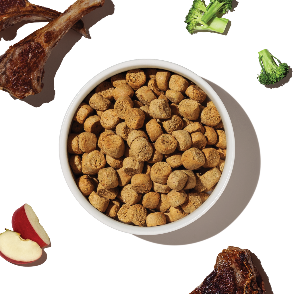 Dry Dog Food product image 8