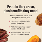 Dry Dog Food product image 2