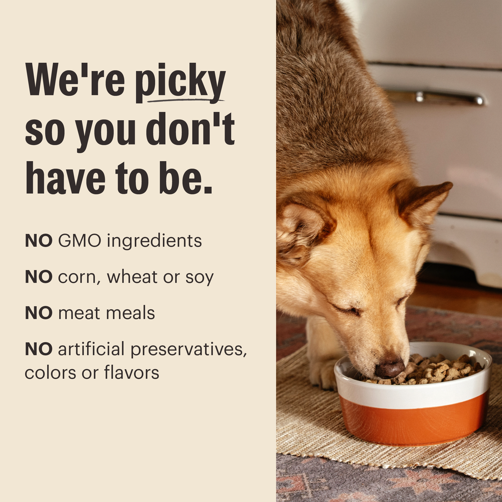 Dry Dog Food product image 5