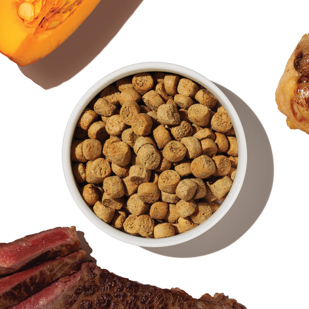Dry Dog Food product image 8