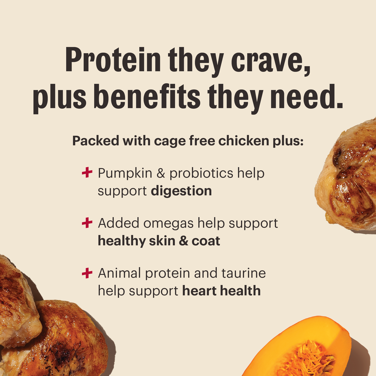 Dry Dog Food product image 2