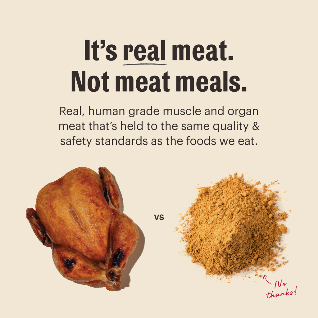 Dry Dog Food product image 3