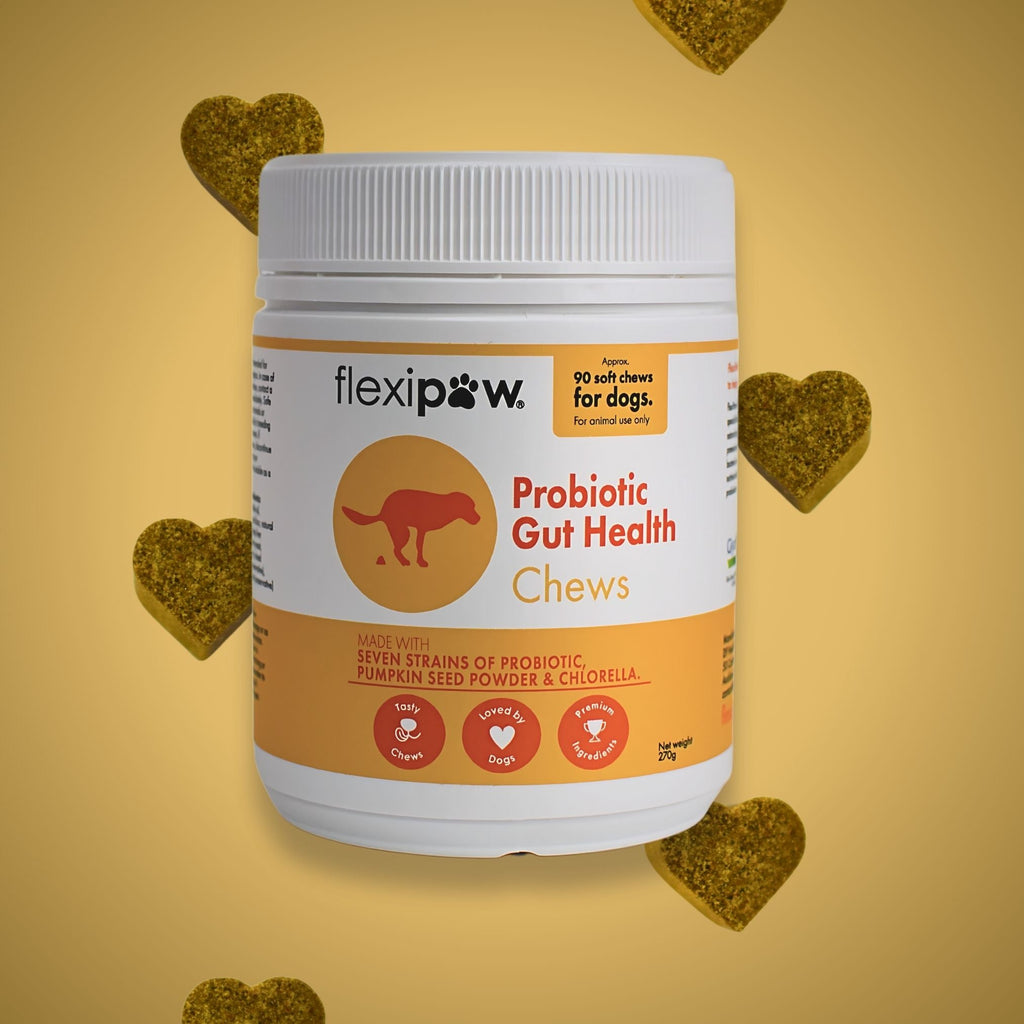 Dog Probiotic Chew product image 1